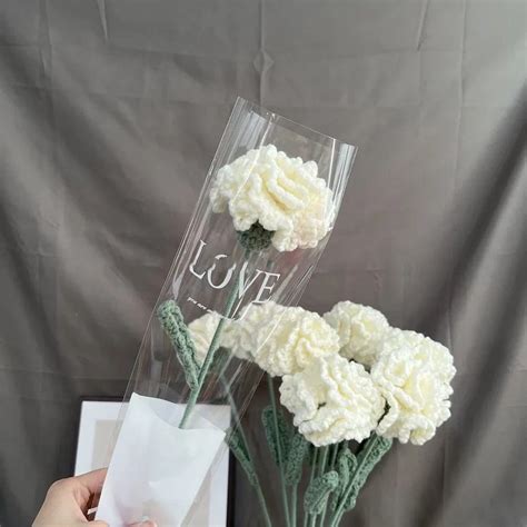 carnation birthday flowers 3