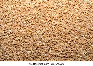 Wheat Grain Seeds Stock Photo 303545960 | Shutterstock