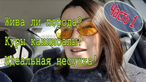Большое интервью с продавцом инкубационного яйца. Часть 1. Юлия ...