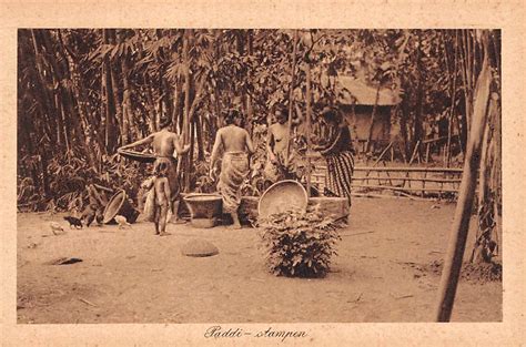 nederlands indie garoet paddi stampen garut java indonesie indonesia