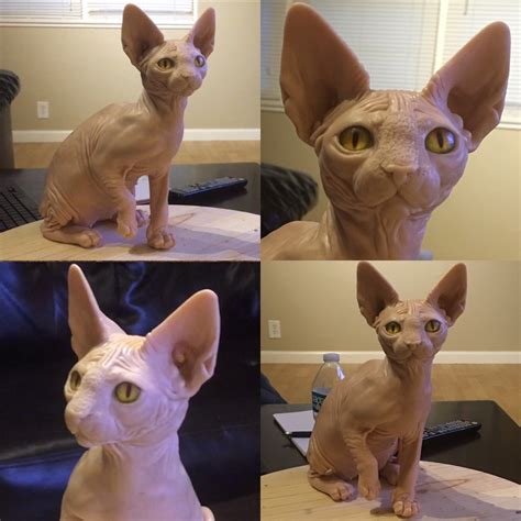 152 best Super Sculpey images on Pholder | Polymerclay, Sculpture and ...