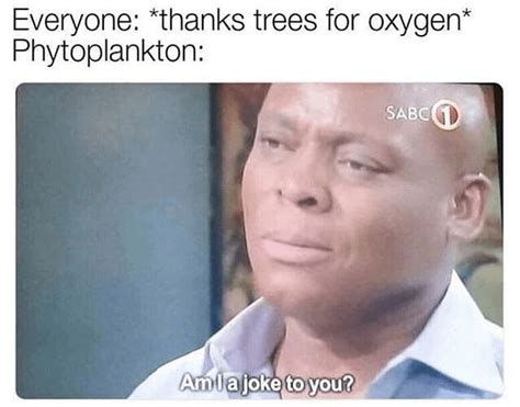 Every Breath You Take : r/sciencememes