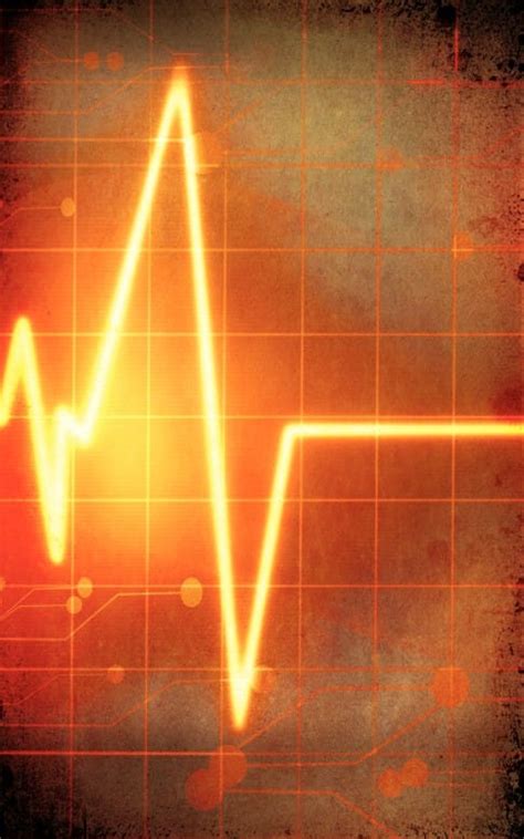 sharefaith media   alive bulletin sharefaith media