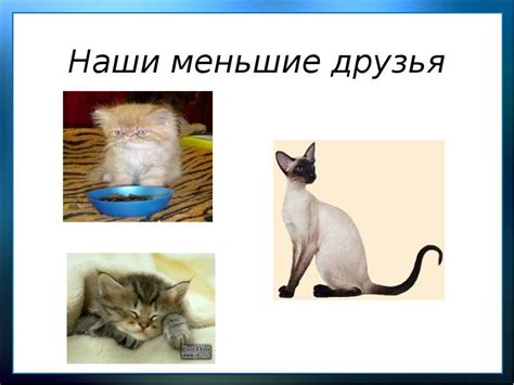 Литературное чтение 1 класс М. Пляцковский «Цап Царапыч ». Г. Сапгир ...