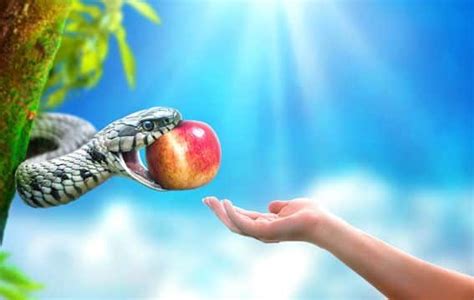 Quem Comeu O Fruto Proibido