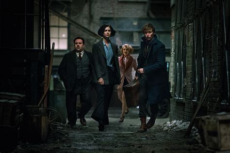 review fantastic beasts    find  superior realities