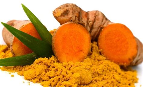 10 Cara Menanam Tanaman Obat Keluarga dengan Mudah