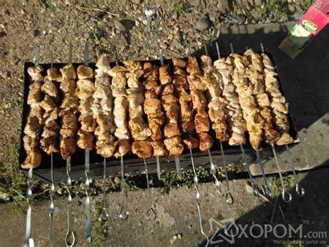 Шорлог хийхийн тулд заавал агаарт гарах шаардлагагүй боллоо