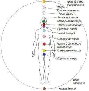 Картинки по запросу фото чакры человека | Чакры, Символы рейки ...