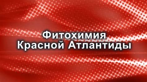 ФИТОХИМИЯ КРАСНОЙ АТЛАНТИДЫ - YouTube