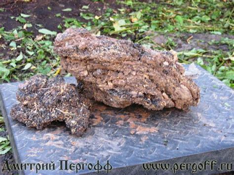 Натуральное Алтайское мумие. Заказать из Алтая.