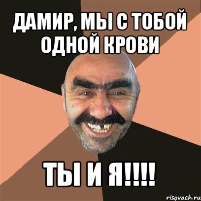 дамир, мы с тобой одной крови ты и я!!!, Мем Я твой дом труба шатал ...