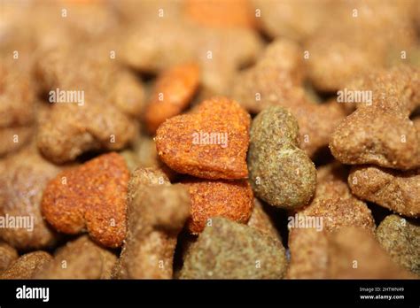 Dog dry healthy food from purina close up background high quality big ...
