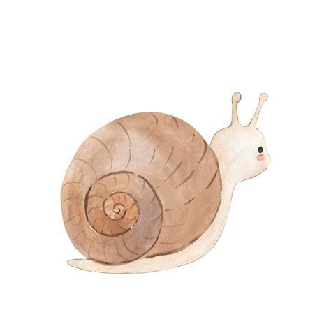 Schneckenaquarellillustration für Kinder 