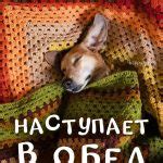 Happypik - Картинки и открытки на каждый день