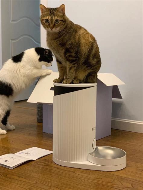 Кормушка для домашних животных Xiaomi Furrytail Pet Smart Feeder ...