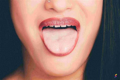 Define Tongue, Tongue Meaning, Tongue Examples, Tongue Synonyms, Tongue ...