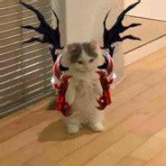 Мамут Рахал - Overview - DOTABUFF - Dota 2 Stats