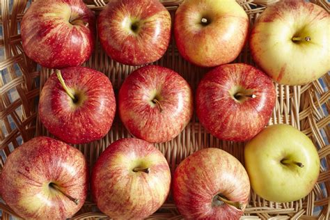 Яблоки апорт - фото и картинки: 60 штук
