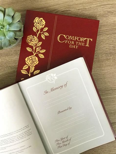 Comfort for the Day: Living Through the Seasons of Grief — Comfort For