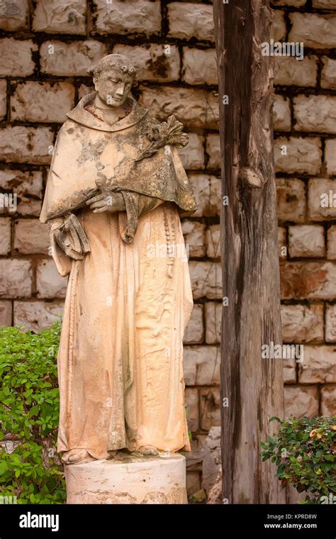 st francis  assisi statue stock photo alamy