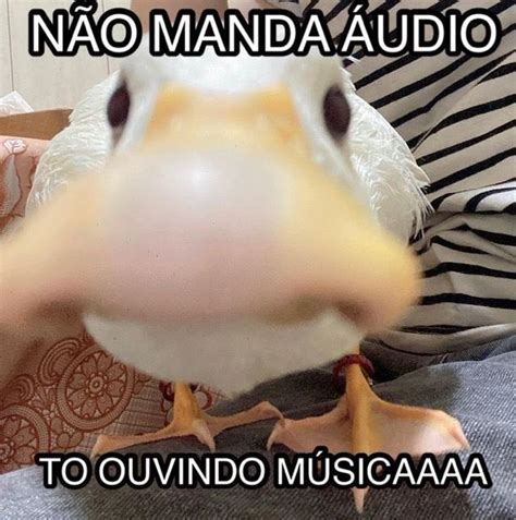 Fotos Para Fazer Figurinhas Fofas - Cri cri | Imagens para figurinhas fofas, Figurinhas de animais, Fotos ...