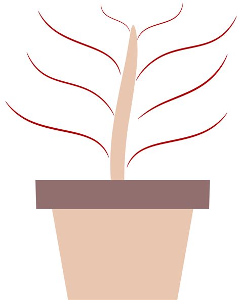illustration of a plant in a pot. plants with colored leaves. free