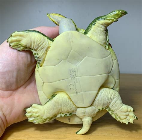 Spiny Softshell Turtle (Incredible Creatures by Safari Ltd.) - Animal