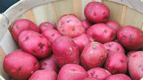 If You're Freezing Potatoes For Later, Make Sure You Choose The Right Kind