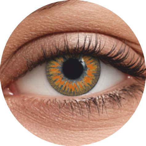 Цветные контактные линзы OKVision Fusion monthly R 8.6 0.00 цвет Amber ...
