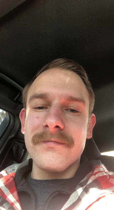 Sometimes it looks good. This is one of those times. : r/Moustache