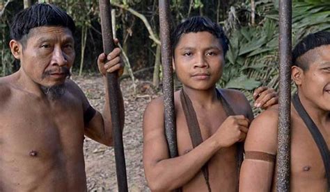 Uncontacted Indians Of Brazil, 50% OFF | www.pinnaxis.com