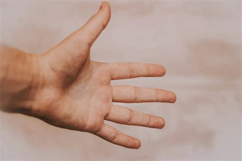 fingers pictures   images  unsplash
