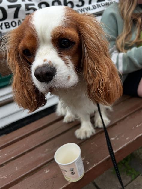 Laura Carolan (@lauracarolanfitness) • Instagram photos and videos