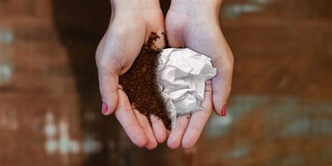 Umweltfreundliche Papiere: Welche Arten von Eco Papier Alternative gibt es?