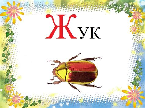 Картинки про букву Ж детям — учим русский алфавит
