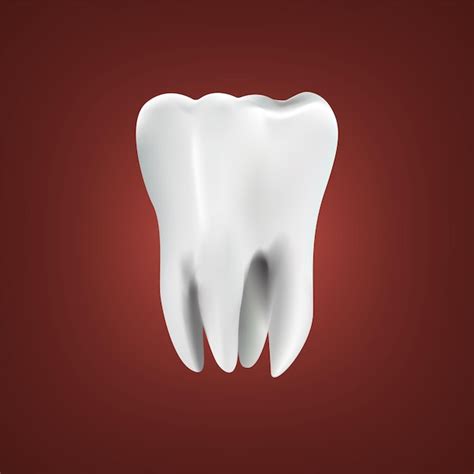 premium vector  tooth design   teeth design