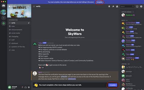 Discord Verification Tutorial | SkyWars