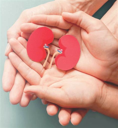 World Kidney Day: Here are dos and don’ts for keeping kidneys healthy