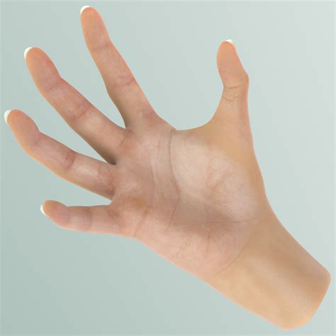 realistic female hand anatomy 3d max