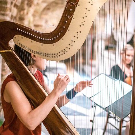 how to play harp instrument