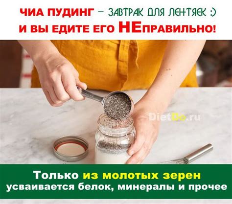 Семена чиа — полезные свойства и противопоказания, отзывы