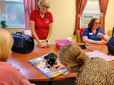 Cat Depot brought their adorable furry... - Pines of Sarasota