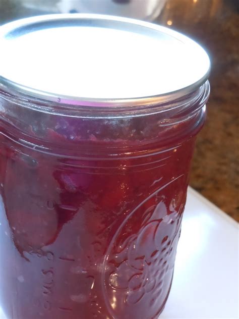 Canning Cranberry Sauce ~ My Angel's Allergies