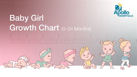 Baby Girl Growth Chart (0-24 Months) - Height, Weight, & Head Size