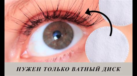 КАК ОТРАСТИТЬ ДЛИННЫЕ РЕСНИЦЫ в домашних условиях? | ЛУЧШИЙ СПОСОБ ...