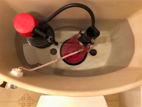 How to Identify and Fix Common Plumbing Leaks