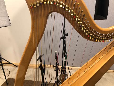 Small Harp Like Instrument