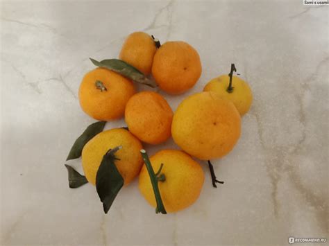 Фрукты Мандарины мини - «Мандарин мандарину рознь 🍊» | отзывы
