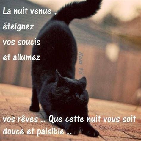 bonne nuit